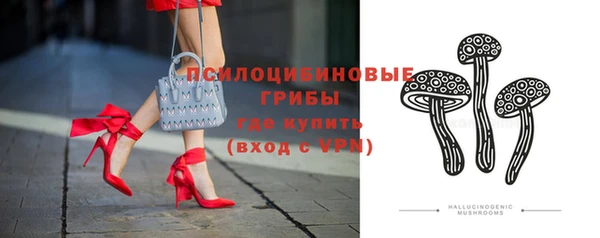 твердый Новокубанск