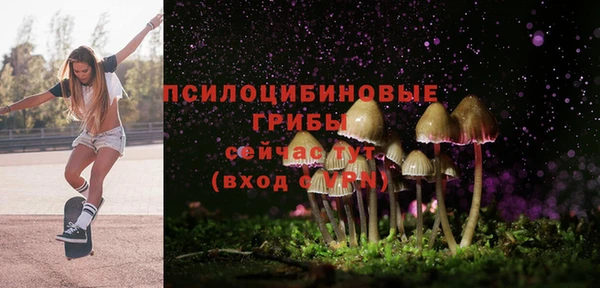 мефедрон Новодвинск