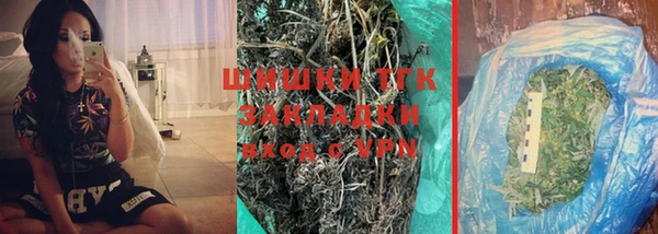 PSILOCYBIN Новозыбков