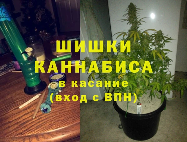 PSILOCYBIN Новозыбков