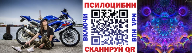 Галлюциногенные грибы Psilocybine cubensis Ядрин